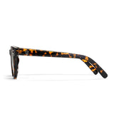 Torö X - Turtle Brown
