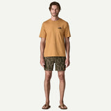 Hydropeak Volley Shorts - Basin Green