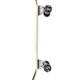 Arbor Surfskate Daily Driver - Multi