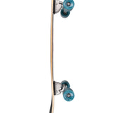 Arbor Surfskate Fat Fish - Black