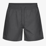 Swim Shorts - Lava Grey