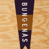 Vimpel Bungenäs