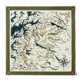 Scarf Swedish Map - Green