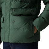M'S Sisar Down Hoody Jkt - Canopy Green
